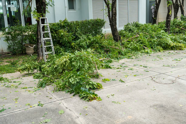 Best Tree and Shrub Care  in Rson, CA
